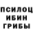 Псилоцибиновые грибы мицелий Fil Red