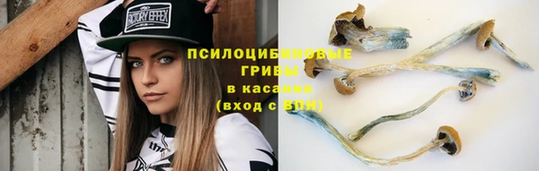 герыч Арсеньев