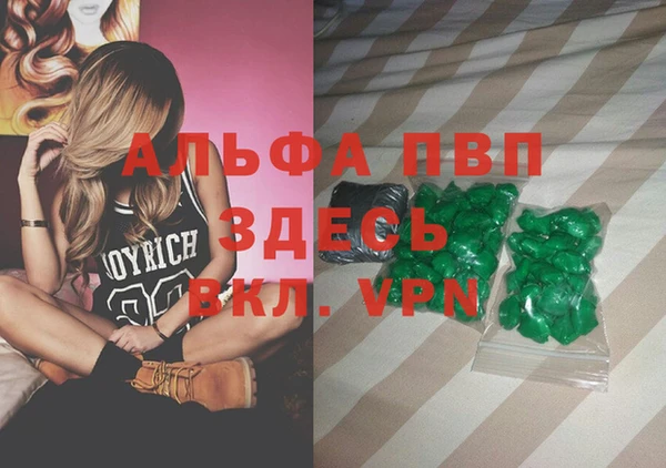 СК Аркадак