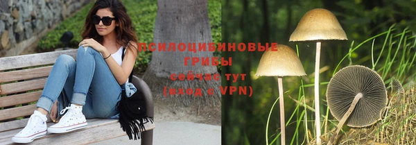 СК Аркадак