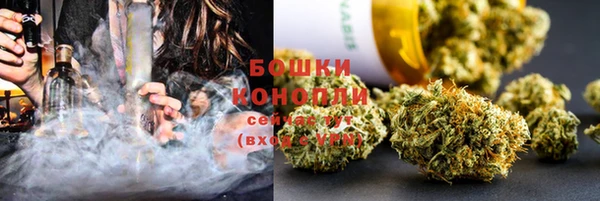 СК Аркадак