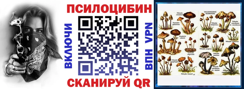 даркнет сайт  Новоалександровск  Псилоцибиновые грибы GOLDEN TEACHER 